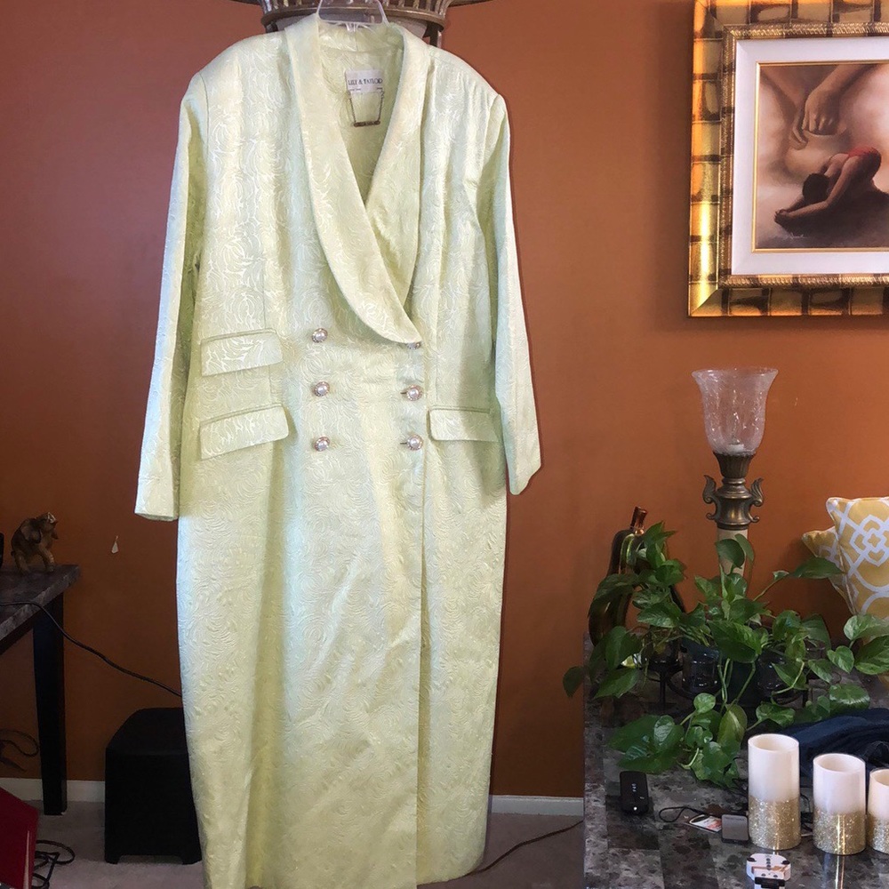 Double breasted coat dress